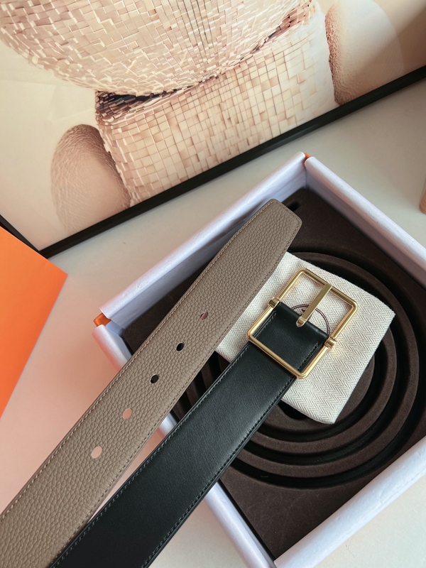 エルメスベルト全体デザイン